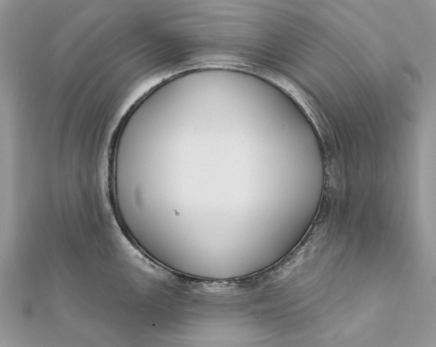 X0000112181147200908281356