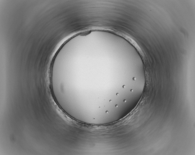 X0000112181148200908281356