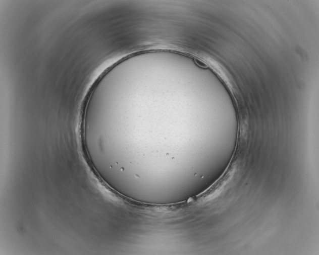 X0000112181149200908281356