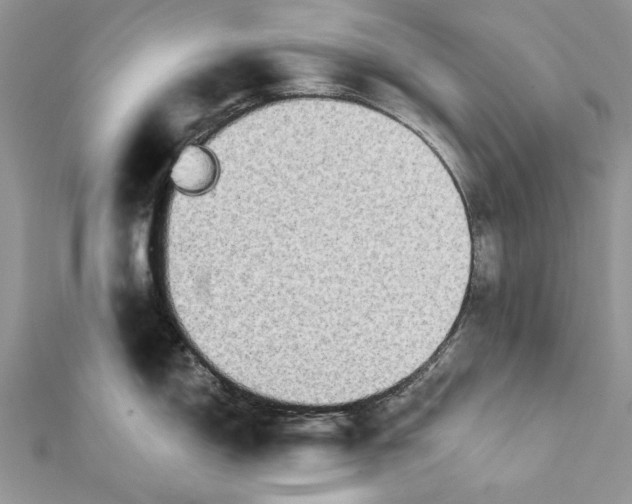 X0000112181150200908281356