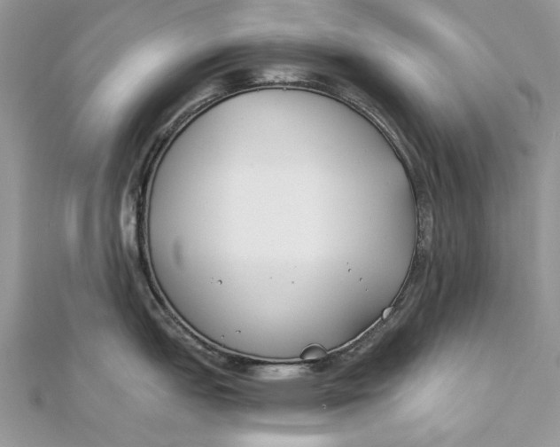 X0000112181151200908281356