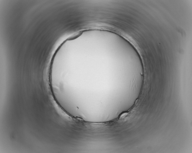 X0000112181152200908281356