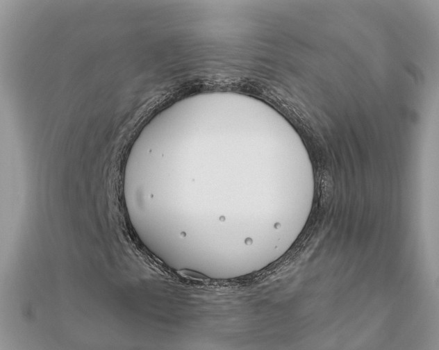 X0000112181153200908281355