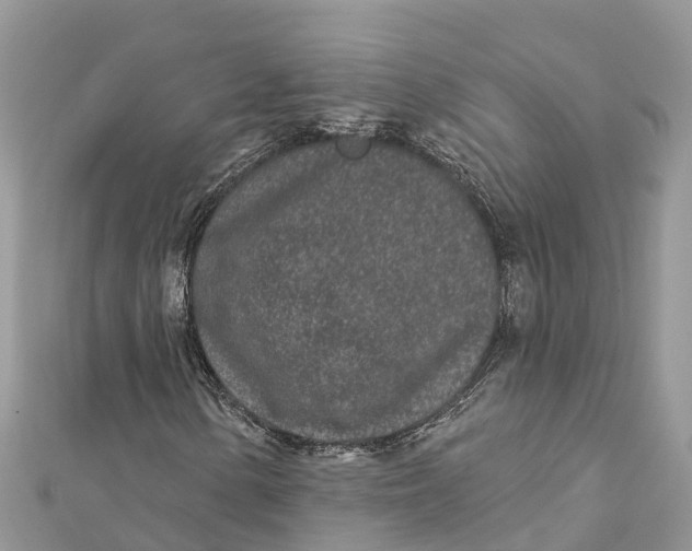 X0000112181154200908281355