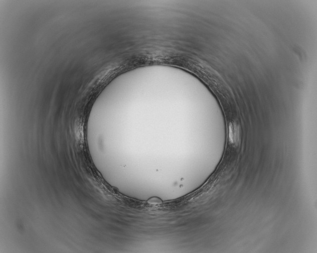 X0000112181155200908281355