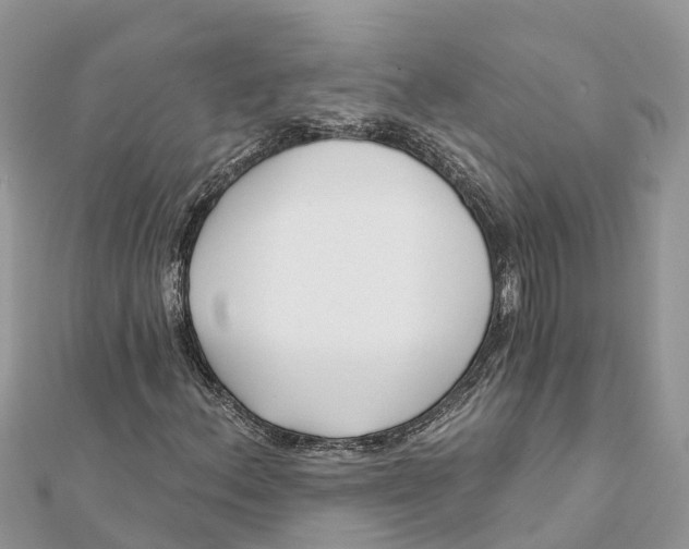 X0000112181156200908281355