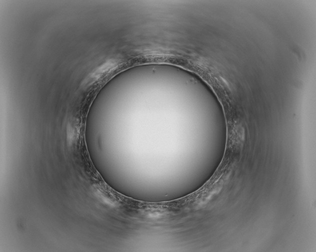 X0000112181157200908281355