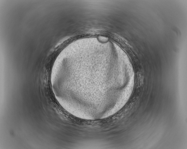 X0000112181158200908281355