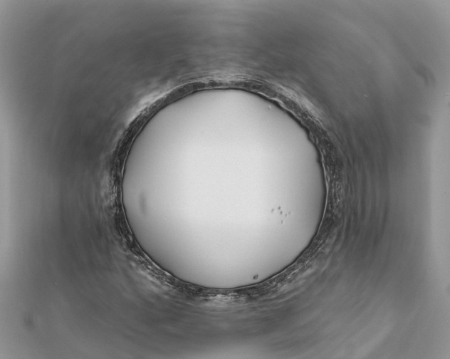 X0000112181160200908281355