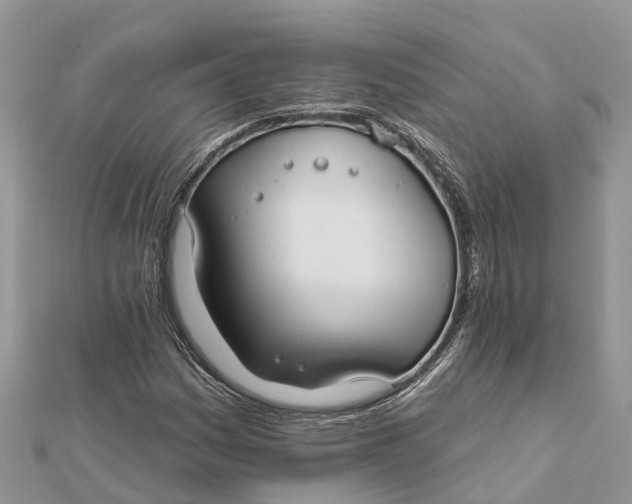 X0000112181161200908281355