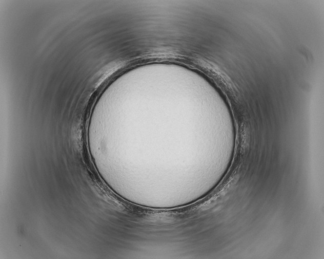 X0000112181162200908281355