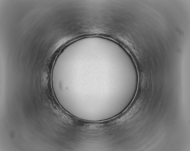 X0000112181163200908281355