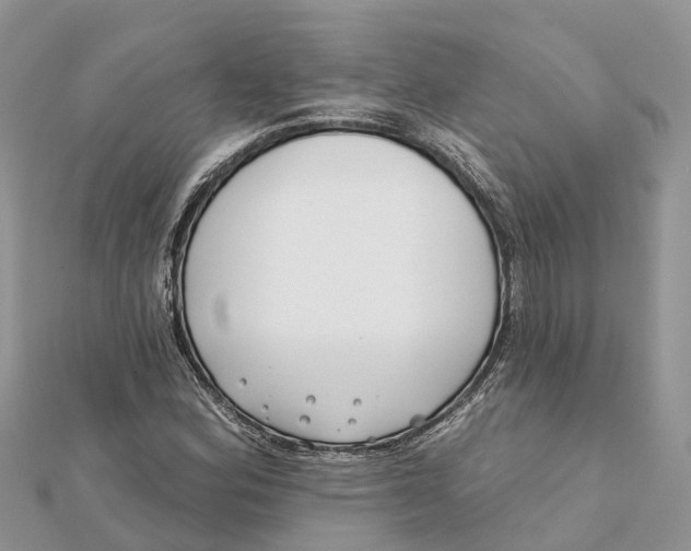 X0000112181164200908281355