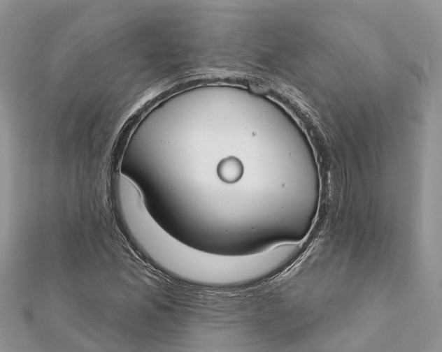 X0000112181165200908281355