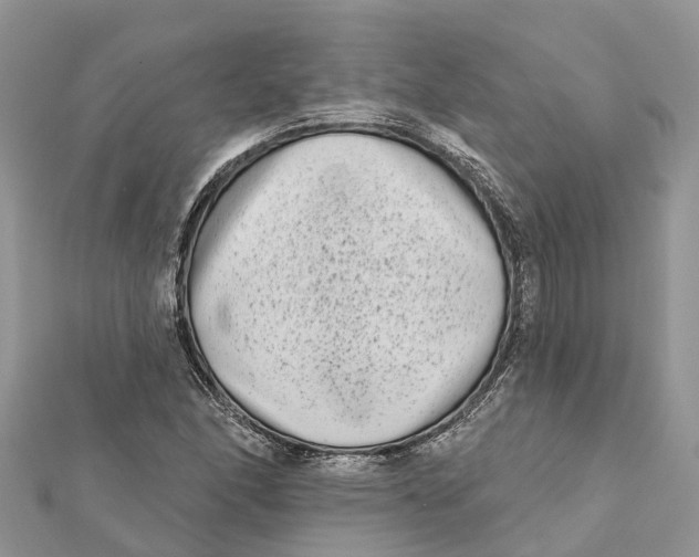 X0000112181166200908281355