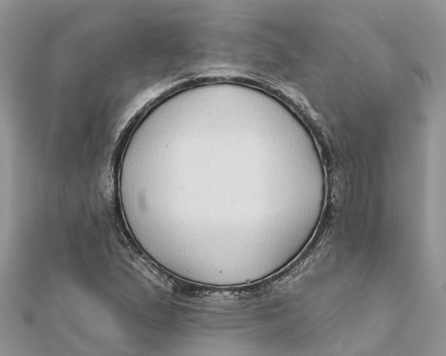 X0000112181167200908281355