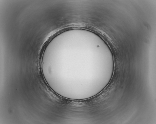 X0000112181168200908281355