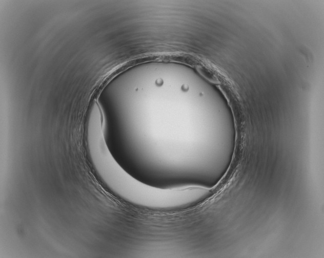 X0000112181169200908281355