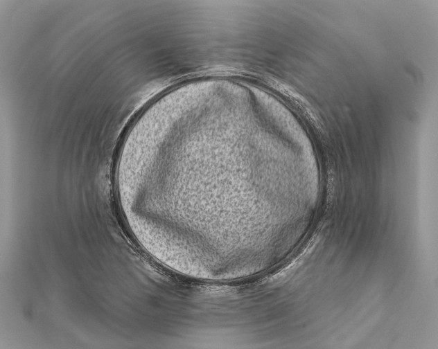 X0000112181170200908281355