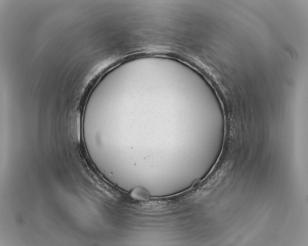 X0000112181171200908281355