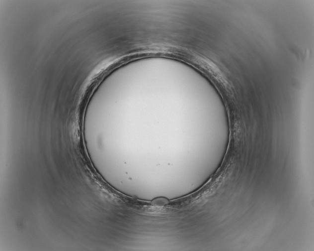 X0000112181172200908281355