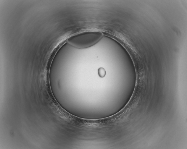 X0000112181173200908281355