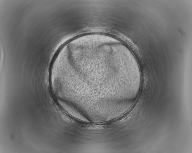 X0000112181174200908281355