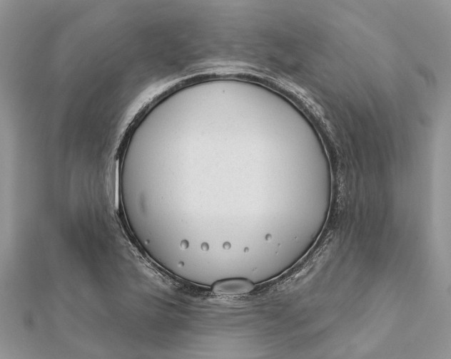 X0000112181175200908281355