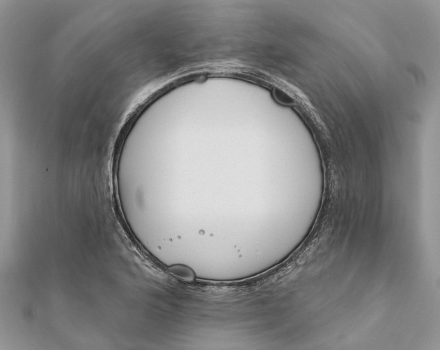 X0000112181176200908281355