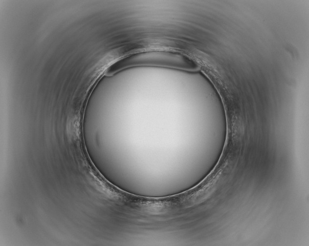 X0000112181177200908281355