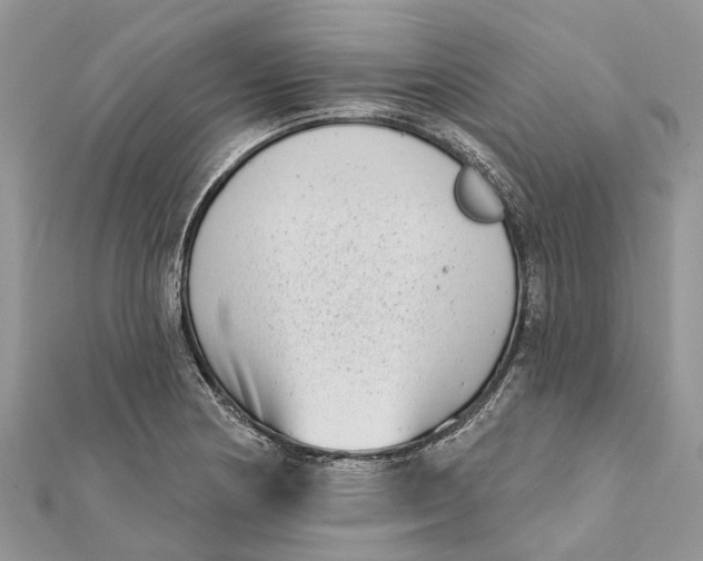 X0000112181178200908281355