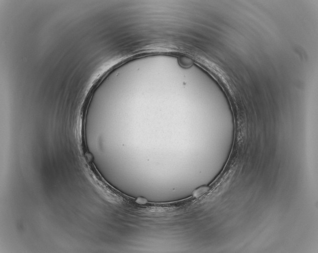 X0000112181179200908281355