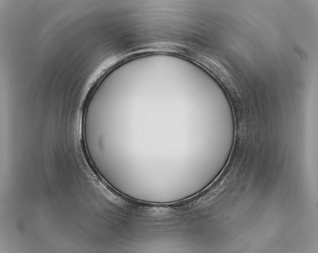 X0000112181180200908281355