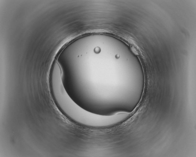 X0000112181181200908281355