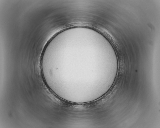 X0000112181182200908281355