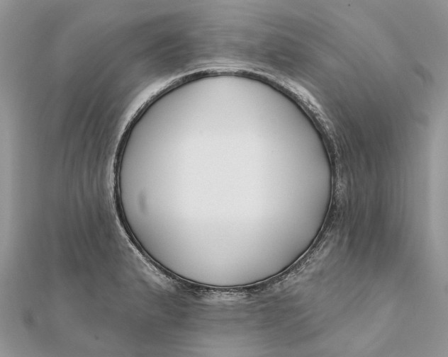 X0000112181183200908281355