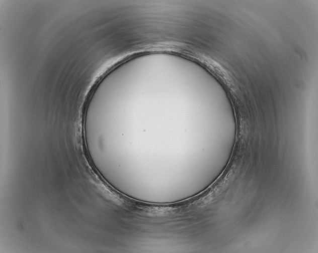 X0000112181184200908281355