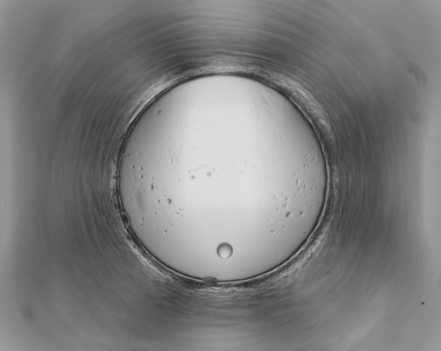 X0000112181185200908281355