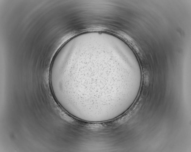 X0000112181186200908281355