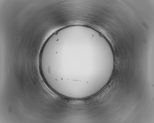 X0000112181187200908281355