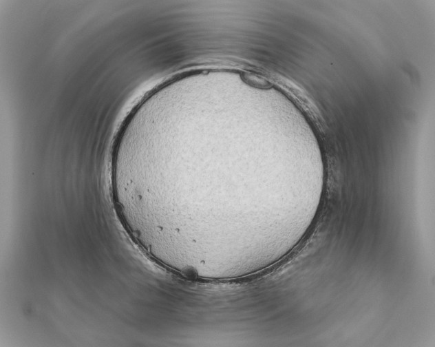 X0000112181188200908281355