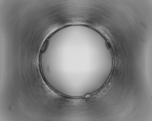 X0000112181189200908281355