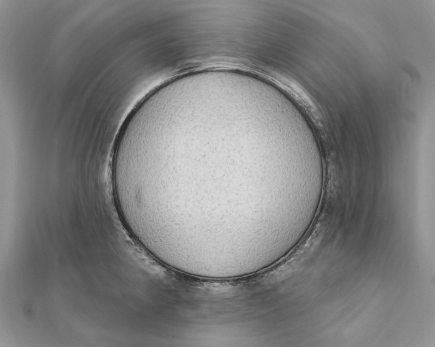 X0000112181190200908281355