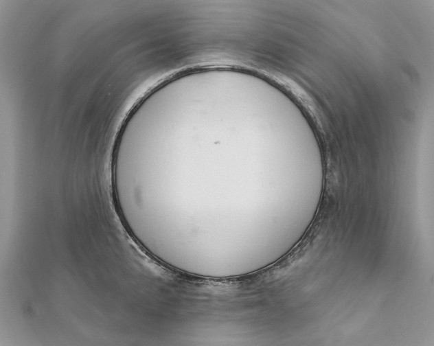 X0000112181191200908281355