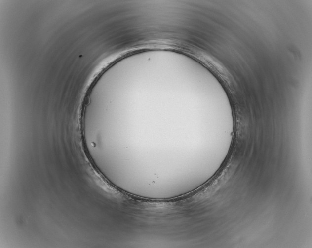 X0000112181192200908281355