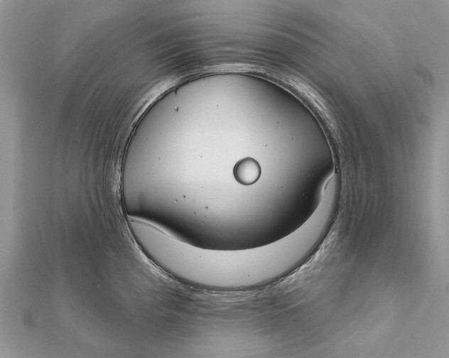 X0000112181193200908281355