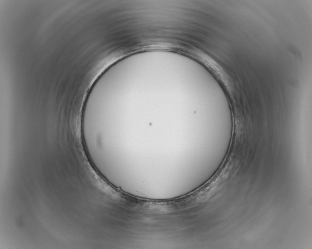 X0000112181194200908281355