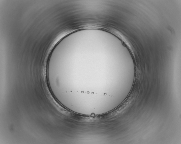 X0000112181195200908281355