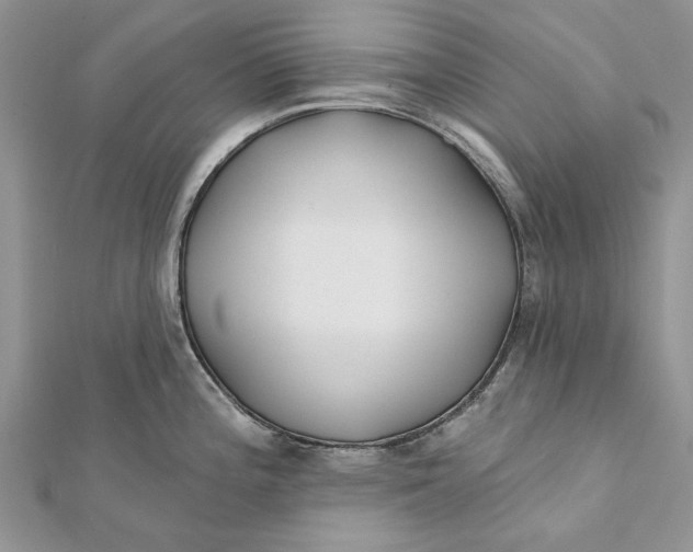 X0000112181196200908281355