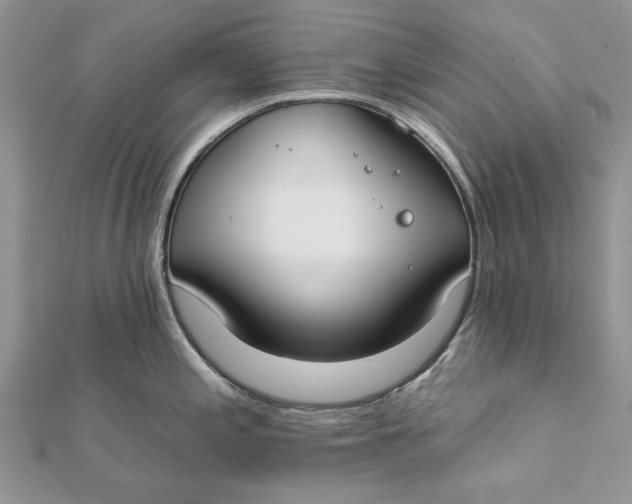 X0000112181197200908281355